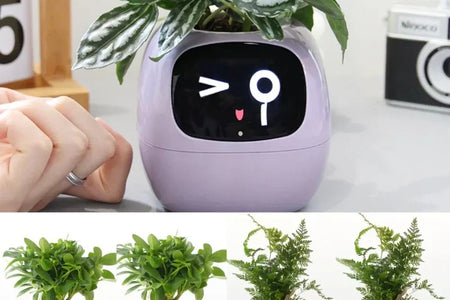 Smart Planter β AI-Powered Plant Care for Effortless Growth