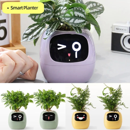 Load image into Gallery viewer, Smart Planter - AI-Powered Plant Care
