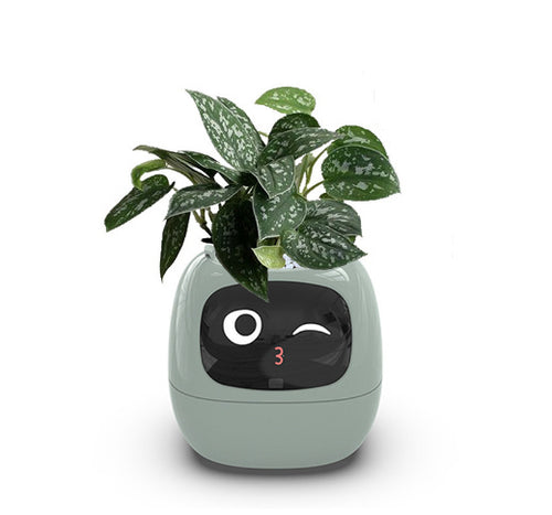 Load image into Gallery viewer, Smart Planter - AI-Powered Plant Care
